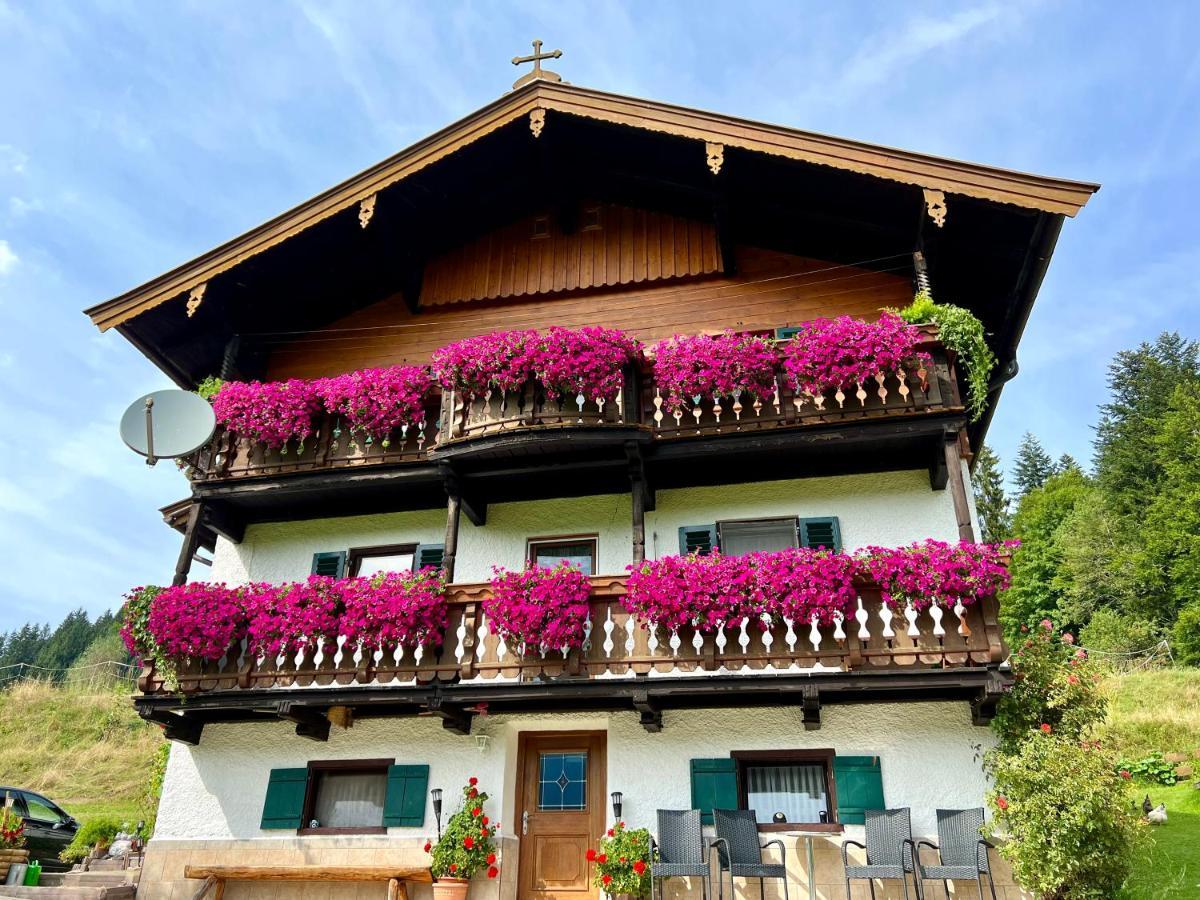 Appartement Sunnseit - Kitzbueheler Alpen Sankt Johann in Tirol Luaran gambar